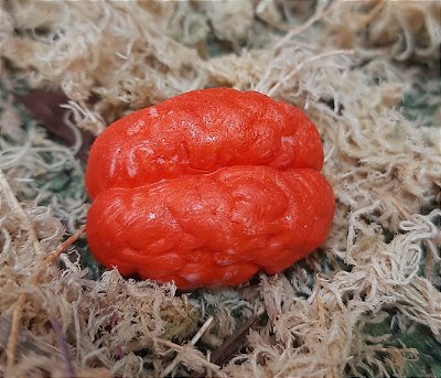 Kit Sabonete Artesanal Cérebro | Lembrancinha Criativa e Temática