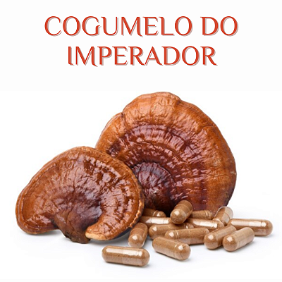 Cogumelo do Imperador (Ling Zhi) | Imunidade e Energia - 100 cápsulas