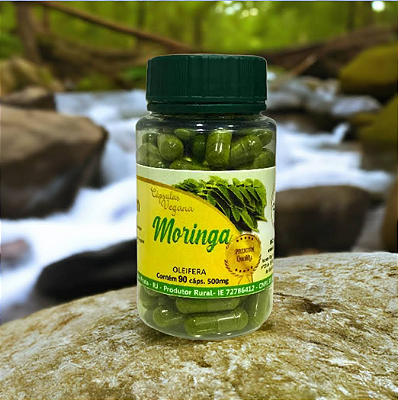 Moringa Oleífera 500mg 90 cps - Linha Premium