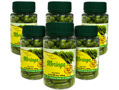 Moringa PREMIUM 500mg -  90 Cáp - Kit com 6 frascos