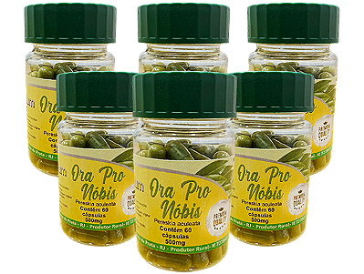 Ora Pro Nobis PREMIUM 500mg -  60 Capsulas - Kit com 6 frascos