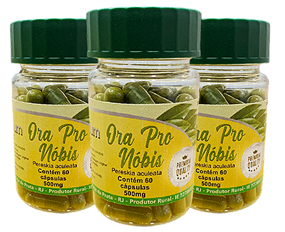Ora Pro Nobis PREMIUM 500 mg -  60 Capsulas - Kit com 3 frascos