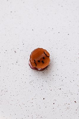 Piranha Mini Cachorro Marrom