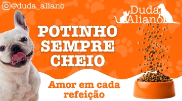 potinho sempre cheio