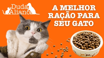 a melhor ração para gatos