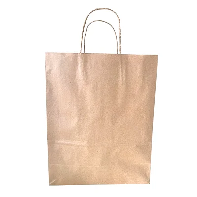 Sacola kraft G pct c/10 unid