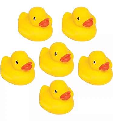 Banho Fun Animais