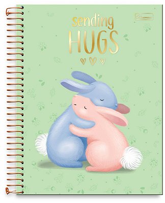 Caderno universitário 15 matérias capa dura Sending Hugs SH01
