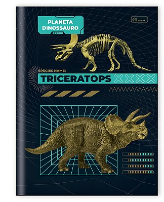 Caderno Capa Dura Costurado Brochura ¼ Planeta Dinossauro PDB1404