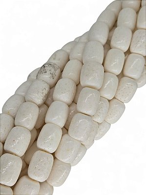 Coral Barril Branco