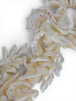 Madrepérola Cascalho Furo Central G