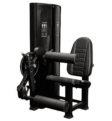 Cadeira Flexo Extensora sentada Evolution Fitness EF 4000 - CUPOM FRETE GRATIS CIDADE DE SP E SUL DO BRASIL
