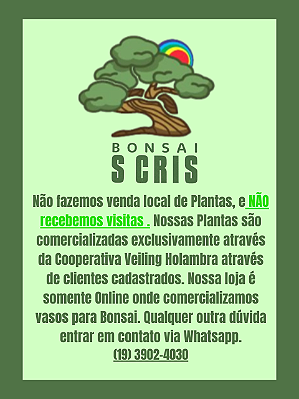 PROMOÇÃO 2 12/14