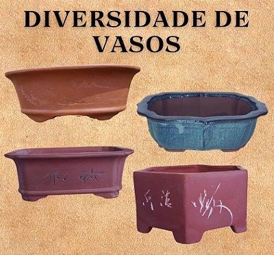 diversidade de vasos