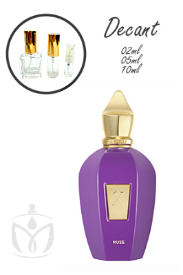 Muse Xerjoff (Decants)