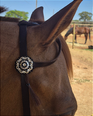 Cabeçada de uma orelha com ponteira, fivela e margarida em strass preto
