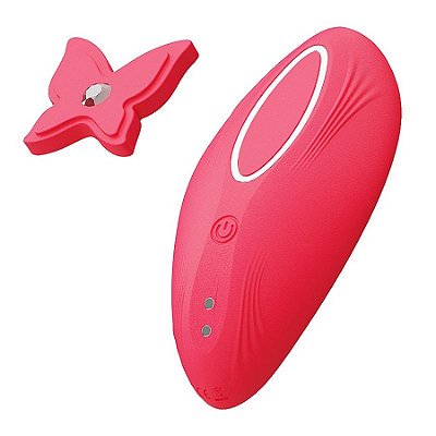 Vibrador de Calcinha - À Longa Distância