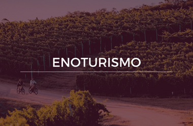 Enoturismo