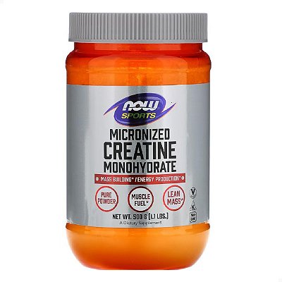 Creatina Monohidratada em Pó 500g Now Sports