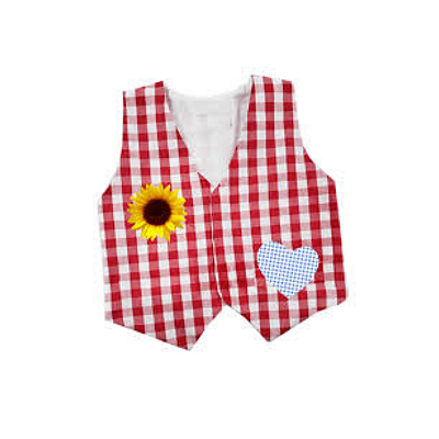Colete Quadrilha/junina/caipira/são João Infantil - quadriculado