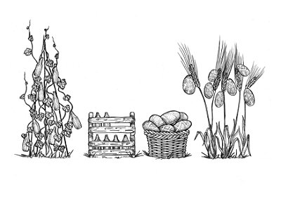 [Obra Original] Cerveja é agricultura
