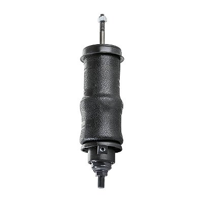 Conjunto Mola Pneumática Série S4 T 1998 Traseiro