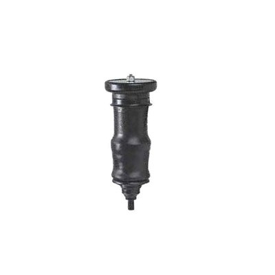 Bexiga Suspensão Cabine Série S4 R 1998 a 2001 2002 2003