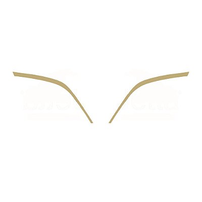 Aplique Moldura Entrada Ar Para Scania NTG R/S Dourado Par