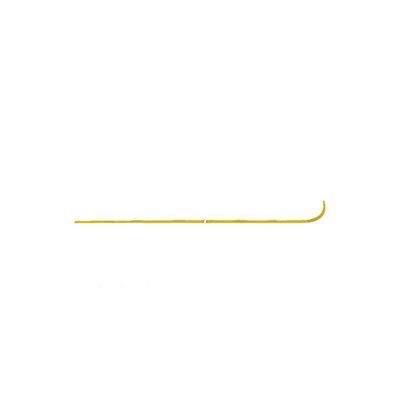 Moldura Vidro Porta/Lateral Cabine Para New FH Dourado