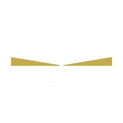Aplique Inferior Aerofólio Para Volvo New FH Dourado