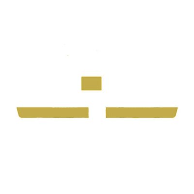 Conjunto Aplique Grade Frontal Para New FH - Dourado