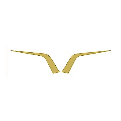 Moldura Frontal Grade - Dourado - Par - Para Daf XF