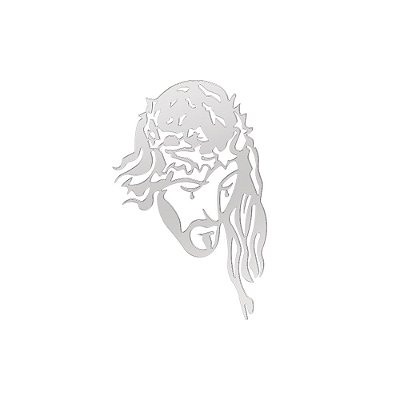 Acabamento de Inox Cristo 517 x 385mm Caminhão Lado Direito