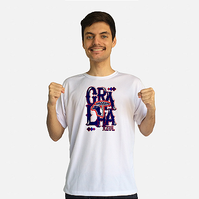 Produtos da Gralha Azul - Camiseta Dry e Azulejos