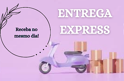 Entrega rapida
