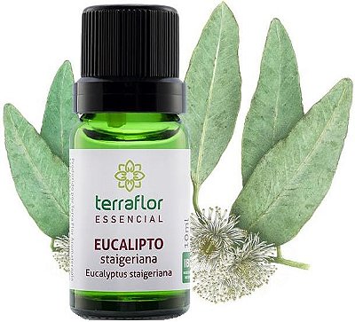 Terra Flor Óleo Essencial de Eucalipto Staigeriana 10ml