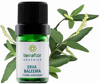 Terra Flor Óleo Essencial de Erva Baleeira Orgânico 5ml