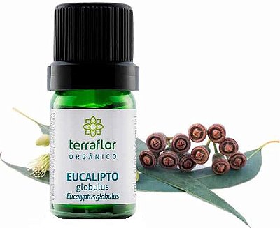 Terra Flor Óleo Essencial de Eucalipto Globulus Orgânico 5ml