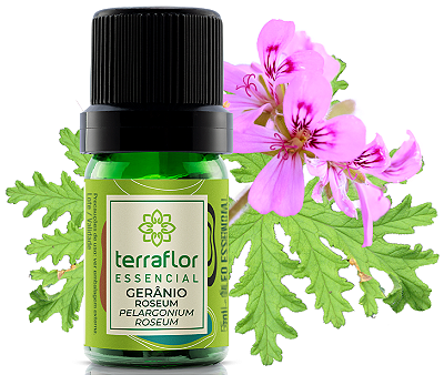Terra Flor Óleo Essencial de Gerânio Roseum GT Índia 5ml