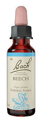 Florais de Bach Beech Original