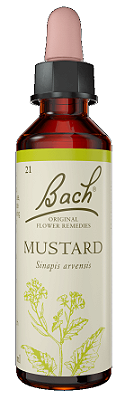 Florais de Bach Mustard Original 20ml
