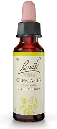 Florais de Bach Clematis Original