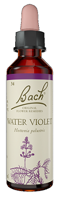 Florais de Bach Water Violet Original 20ml