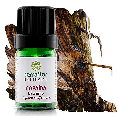 Terra Flor Óleo de Copaíba (Bálsamo) - Seiva Resinosa 5ml