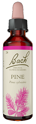 Florais de Bach Pine Original 20ml