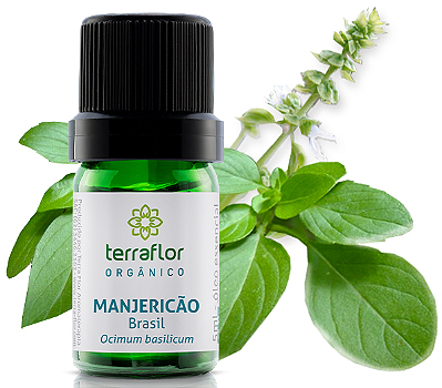 Terra Flor Óleo Essencial de Manjericão Brasil Orgânico 5ml