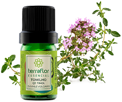 Terra Flor Óleo Essencial de Tomilho QT Timol 5ml