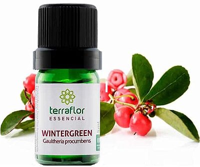 Terra Flor Óleo Essencial de Wintergreen 5ml