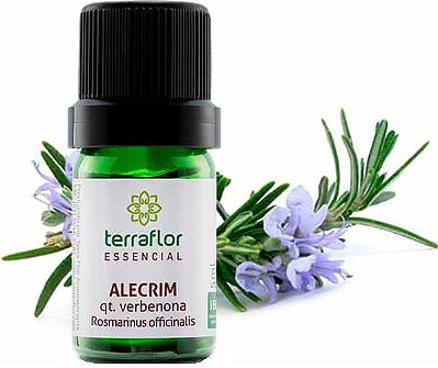 Terra Flor Óleo Essencial de Alecrim qt Verbenona 5ml