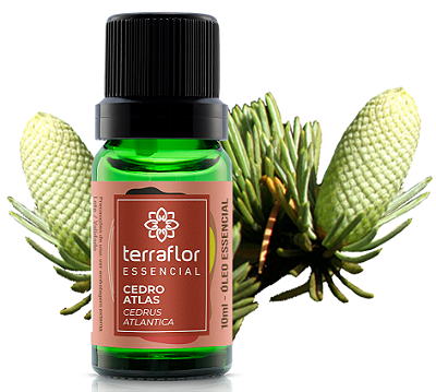 Terra Flor Óleo Essencial de Cedro Atlas 10ml